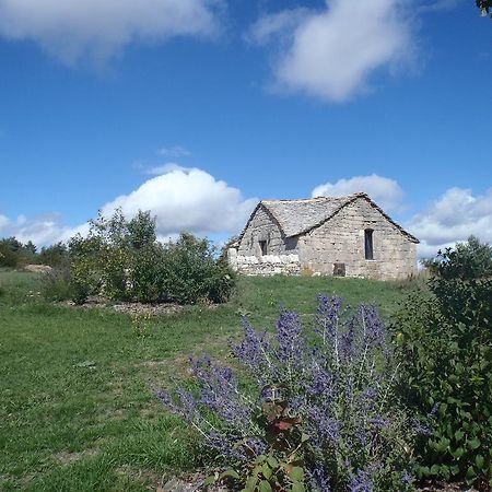Saint-Rome-de-Dolan Chapelle Du Domaine De Bombes 빌라 외부 사진